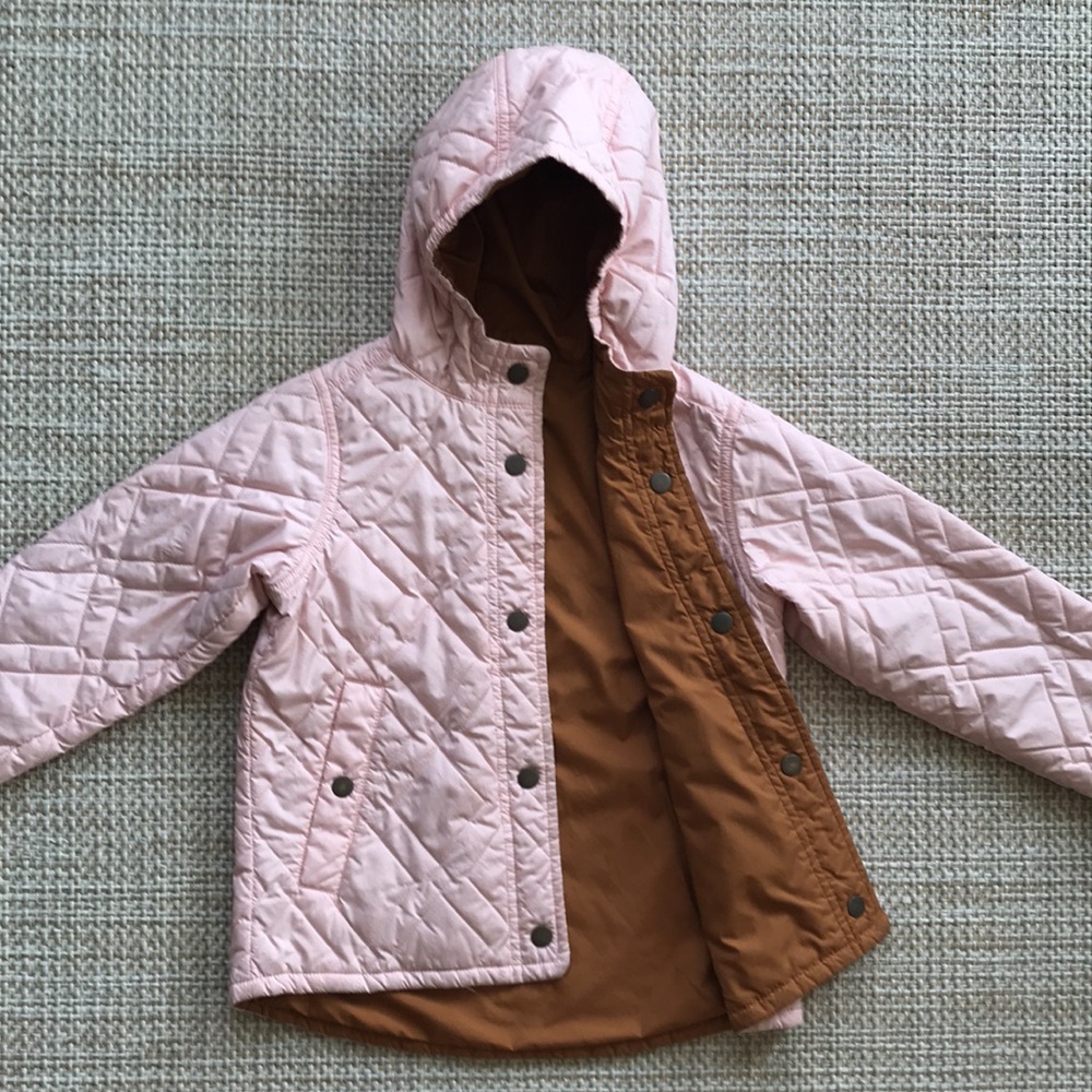 Patagonia Reversible Jacket